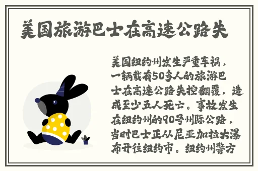 兔子先生.爸气十足