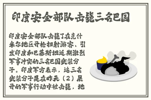 寻小小猫爪影像作品网站